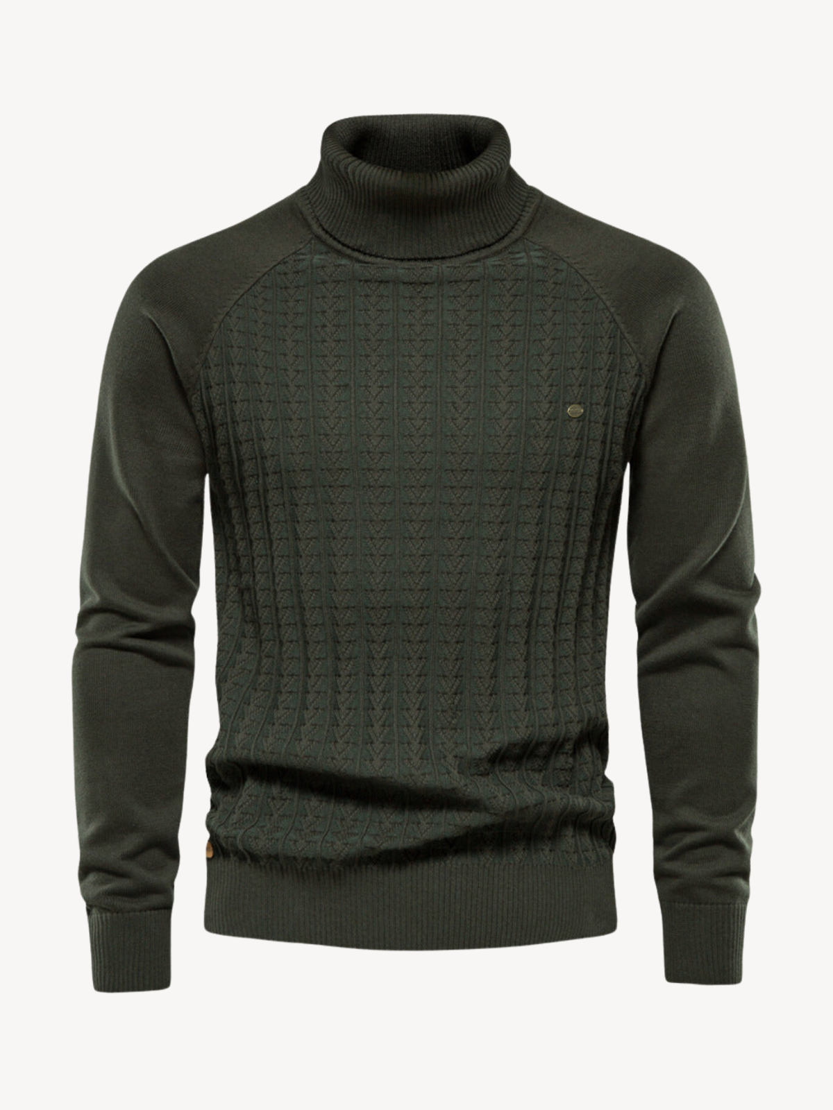 RINALDO - KNITTED TURTLE NECK